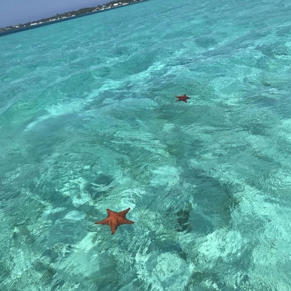 Meet your Posher, M - Picture 1 of 1